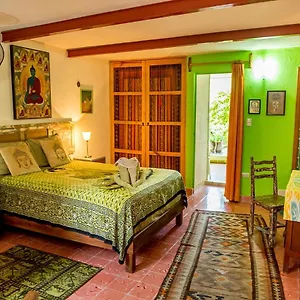  Apartment Budha By Majikal
